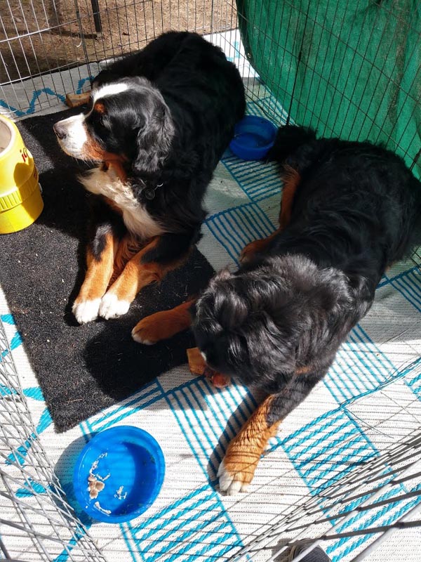 IMG 20190622 160040119 HDR